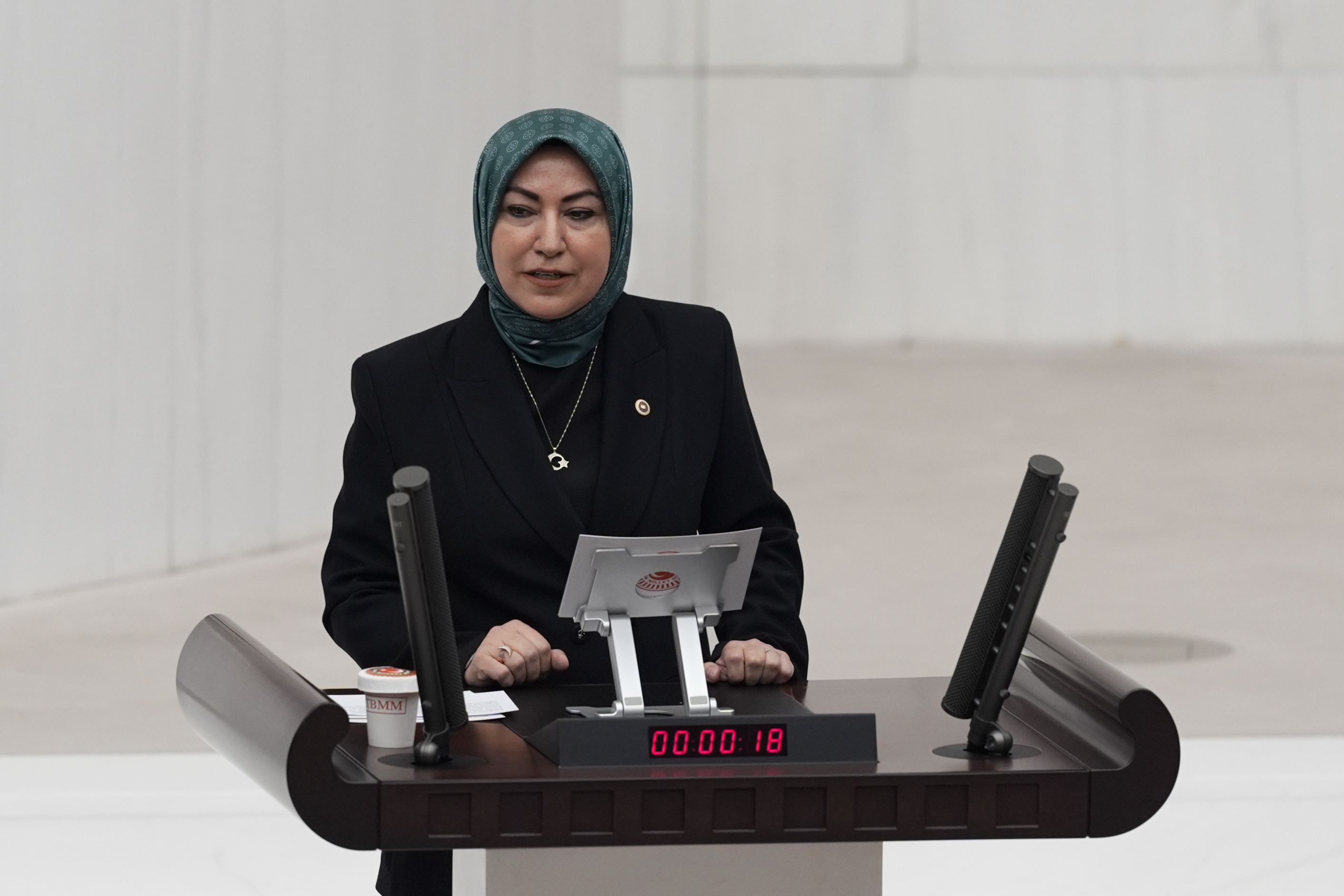 Rukiye Toy, TBMM'de Sivas yatırımlarını anlattı!