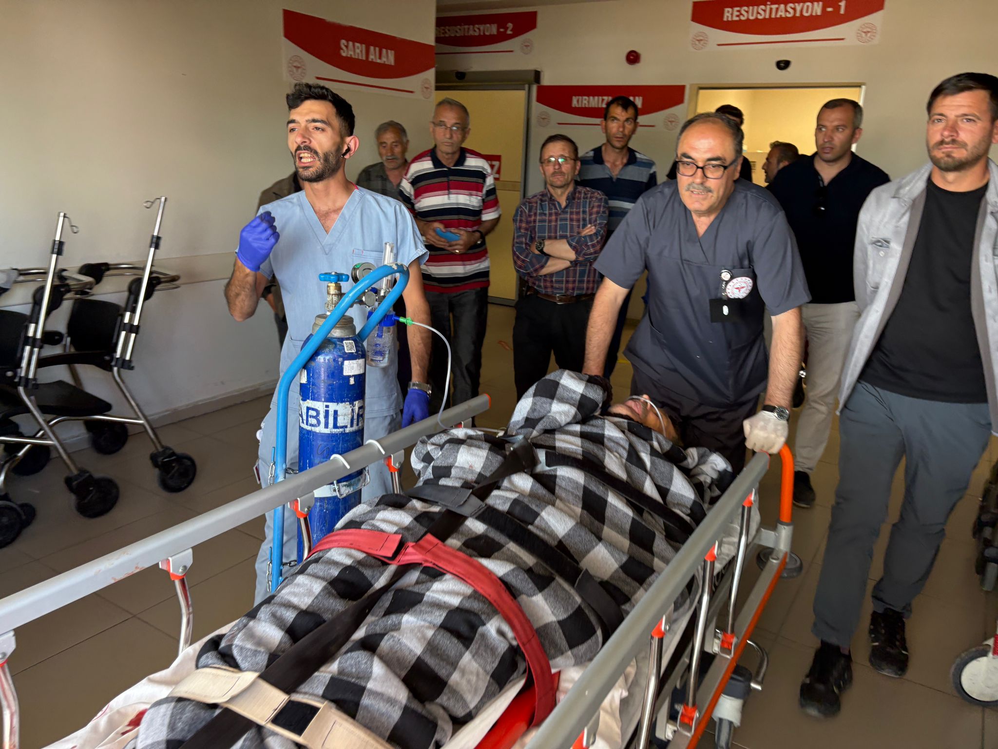 Sivas'ta ayı saldırısına uğrayan çoban yaralandı