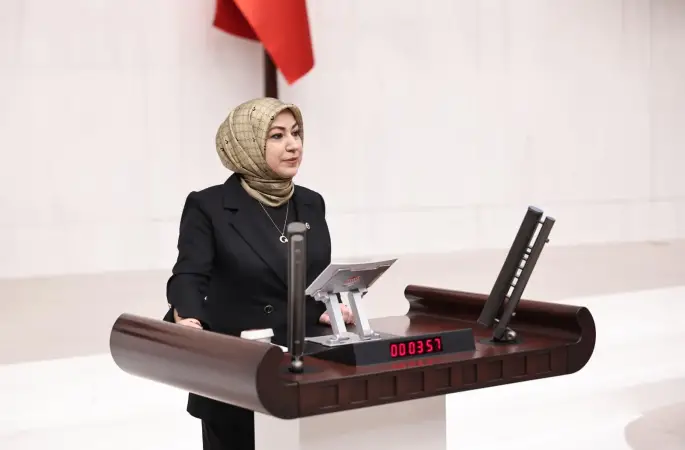 Sivas Milletvekili DİLİM'i anlattı