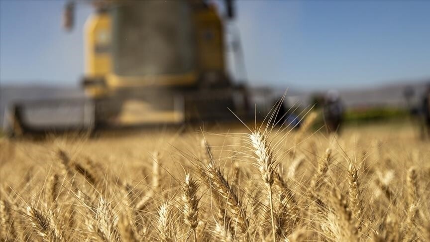 Tarımsal girdi fiyat endeksi Nisan'da arttı