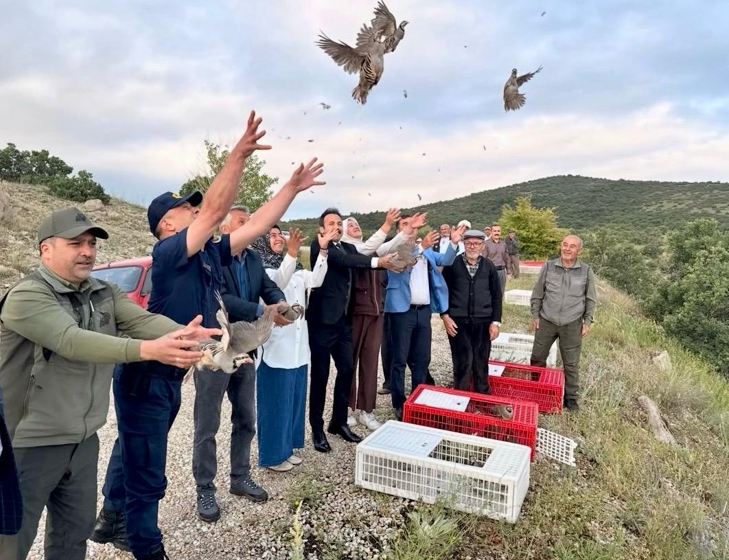 900 keklik doğaya salındı