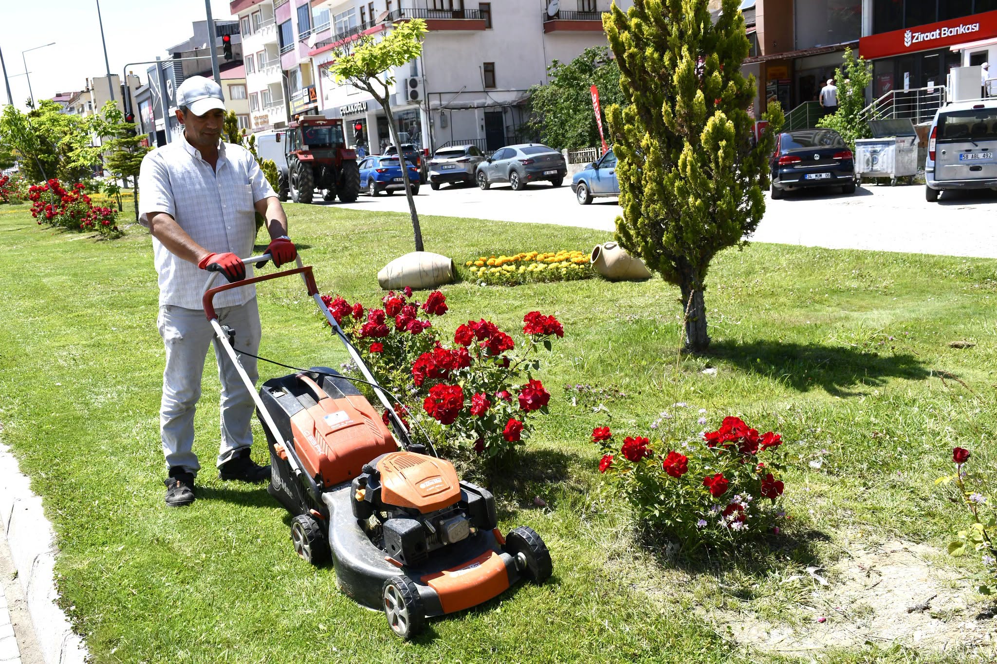 Gürün yeşile ve renklere bürünüyor: Belediyeden hummalı peyzaj çalışması