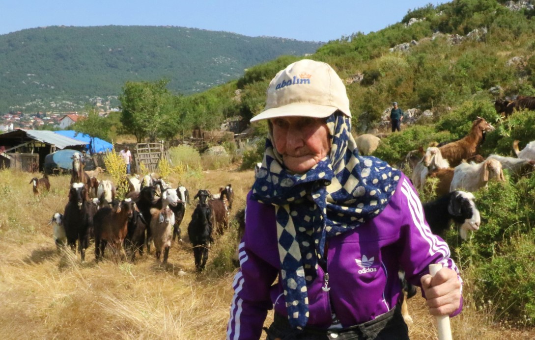 94 yaşında, 90 yıldır keçileriyle dağlarda
