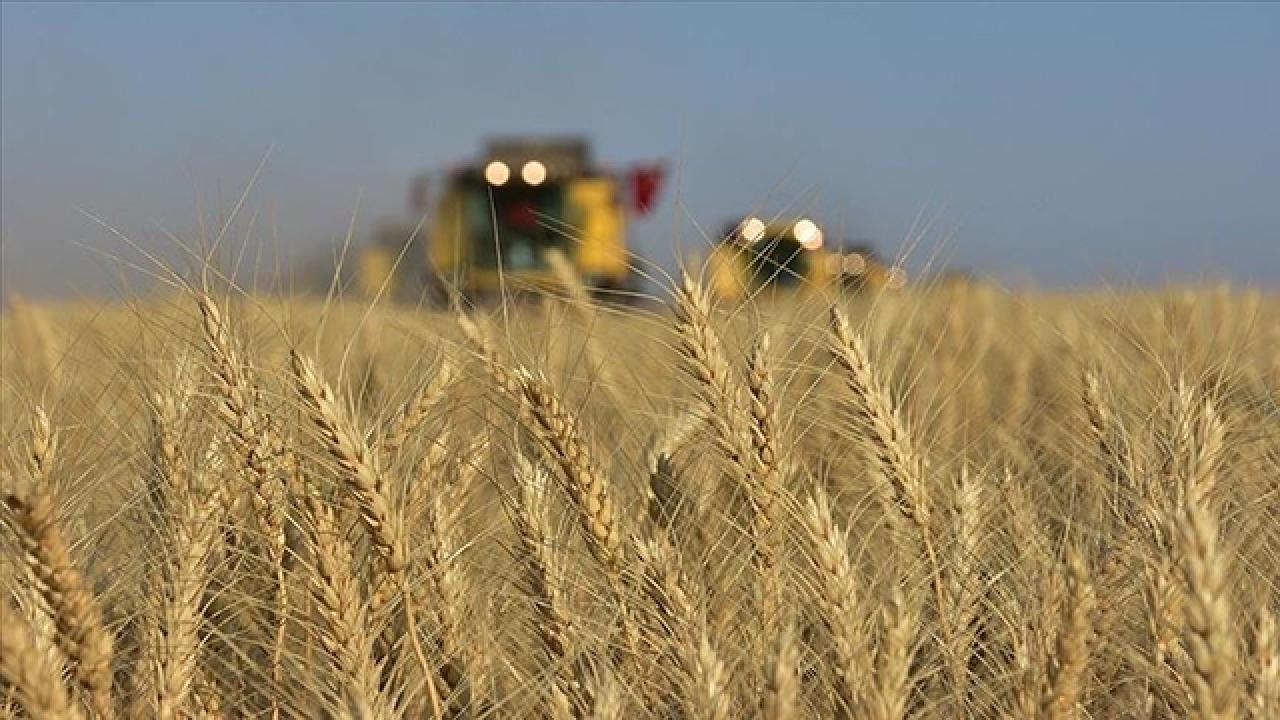 Türkiye, tarımsal hasılada Avrupa liderliğine yükseldi