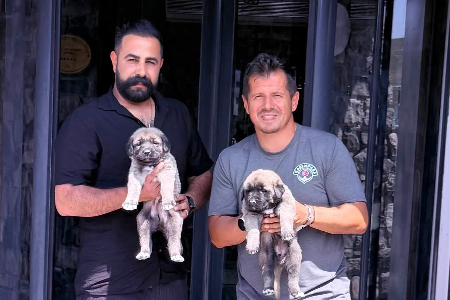 Emre Belözoğlu’na Sivas’tan Kangal