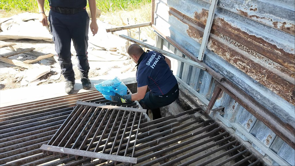 Sivas'ta mısır silosunda davetsiz misafir