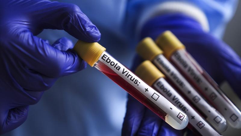 Kovid-19 aşı teknolojisi bu kez Ebola için devrede
