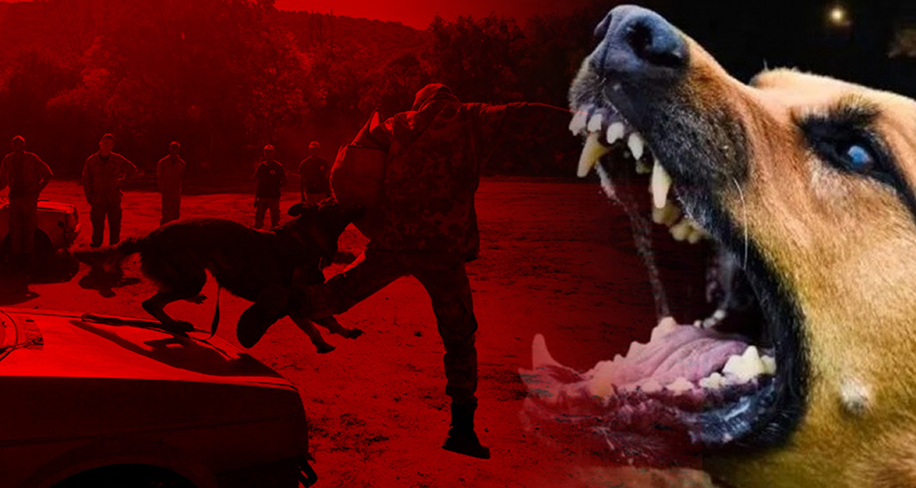 Türkiye için Hollanda modeli gündemde