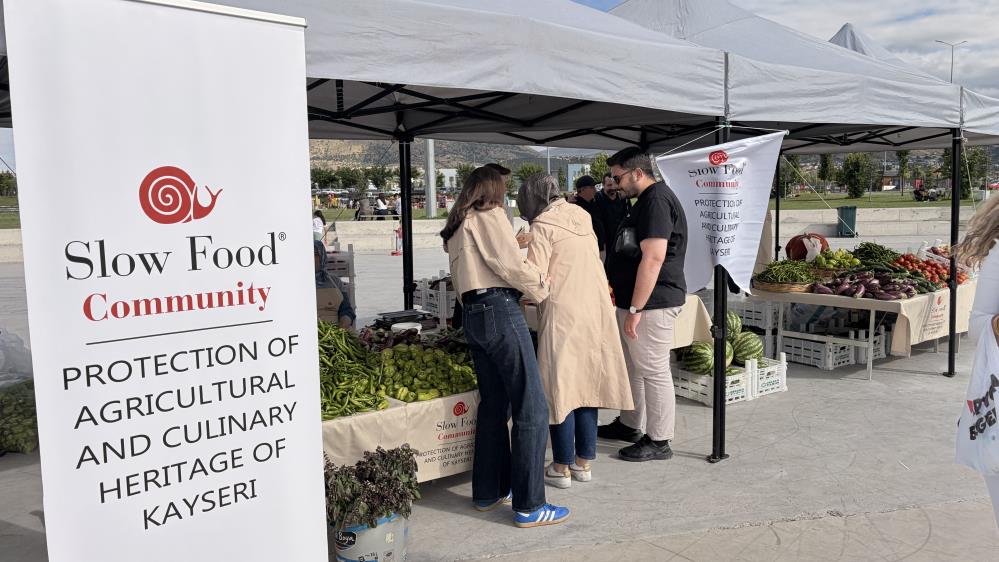 Ata tohumları gelir kapısı oldu