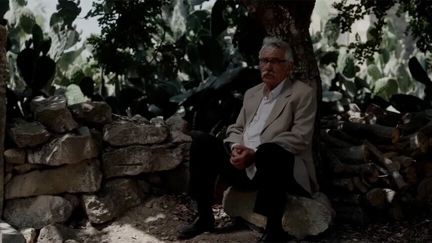 "Kesilmiş Bir Ağaç Gibi" Türkiye'nin Oscar adayı oldu
