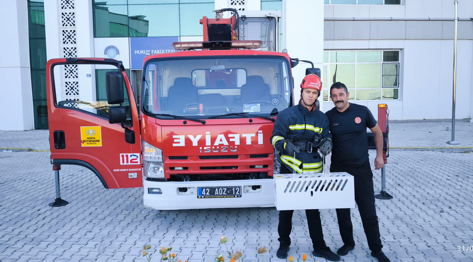16 metre yükseklikte mahsur kalan kedi, kafes yöntemiyle kurtarıldı