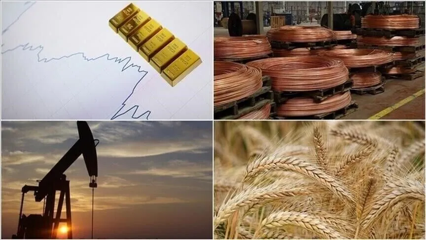 Emtia piyasalarında dalgalı hafta
