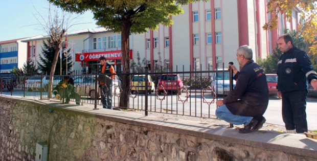 Belediye Türbeye Sahip Çıktı