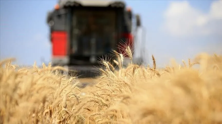 Küresel gıda fiyatları 3,5 yılın zirvesinde