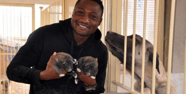 Beşiktaş´a Gol Atarsam Yavru Köpeklerime Armağan Edeceğim