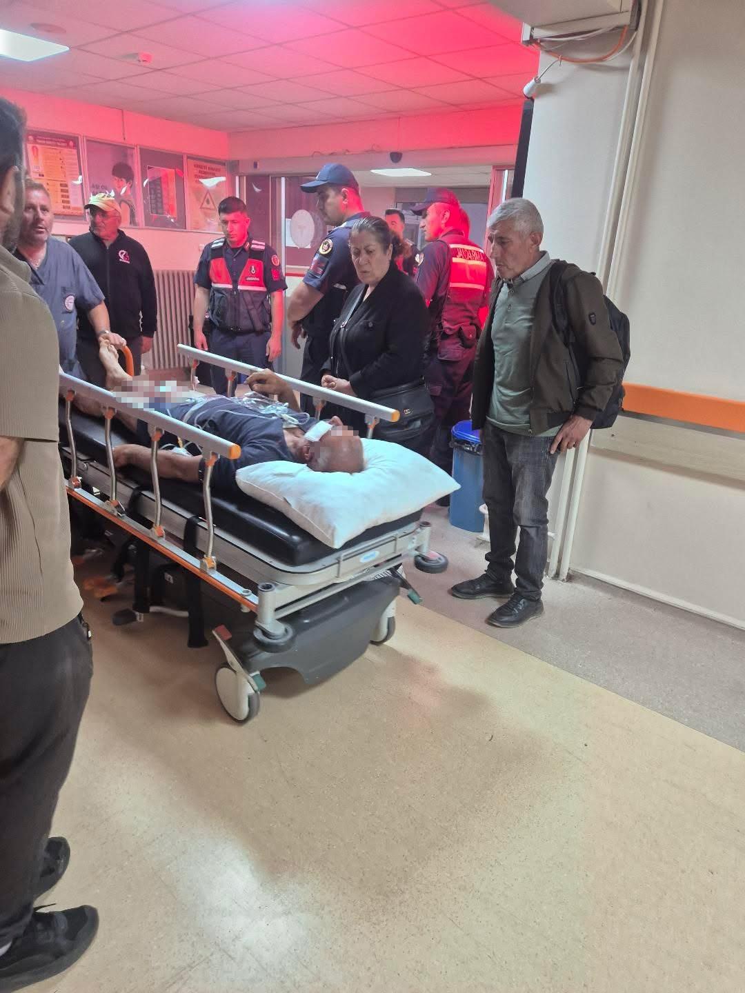 Ayının saldırdığı çobanı köpekleri kurtardı