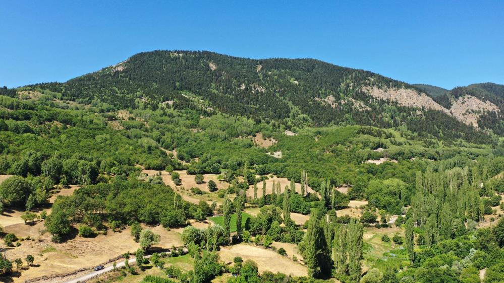 Veriler şaşırttı: Sivas, Bursa Ve Artvin'i geride bıraktı