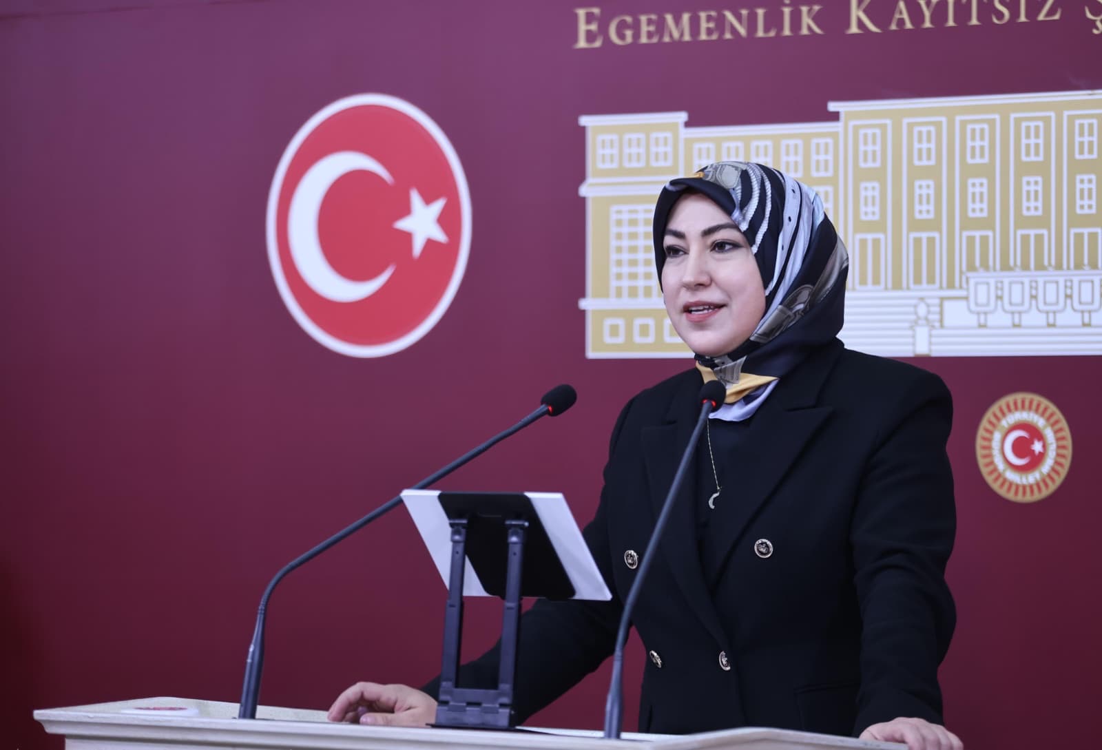 AK Parti Sivas Milletvekili Toy'dan 30 Ağustos Zafer Bayramı mesajı