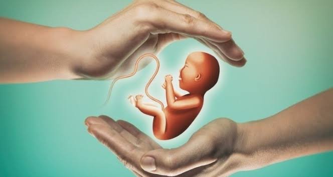 Tüp bebek denemeleri ile ilgili önemli uyarı
