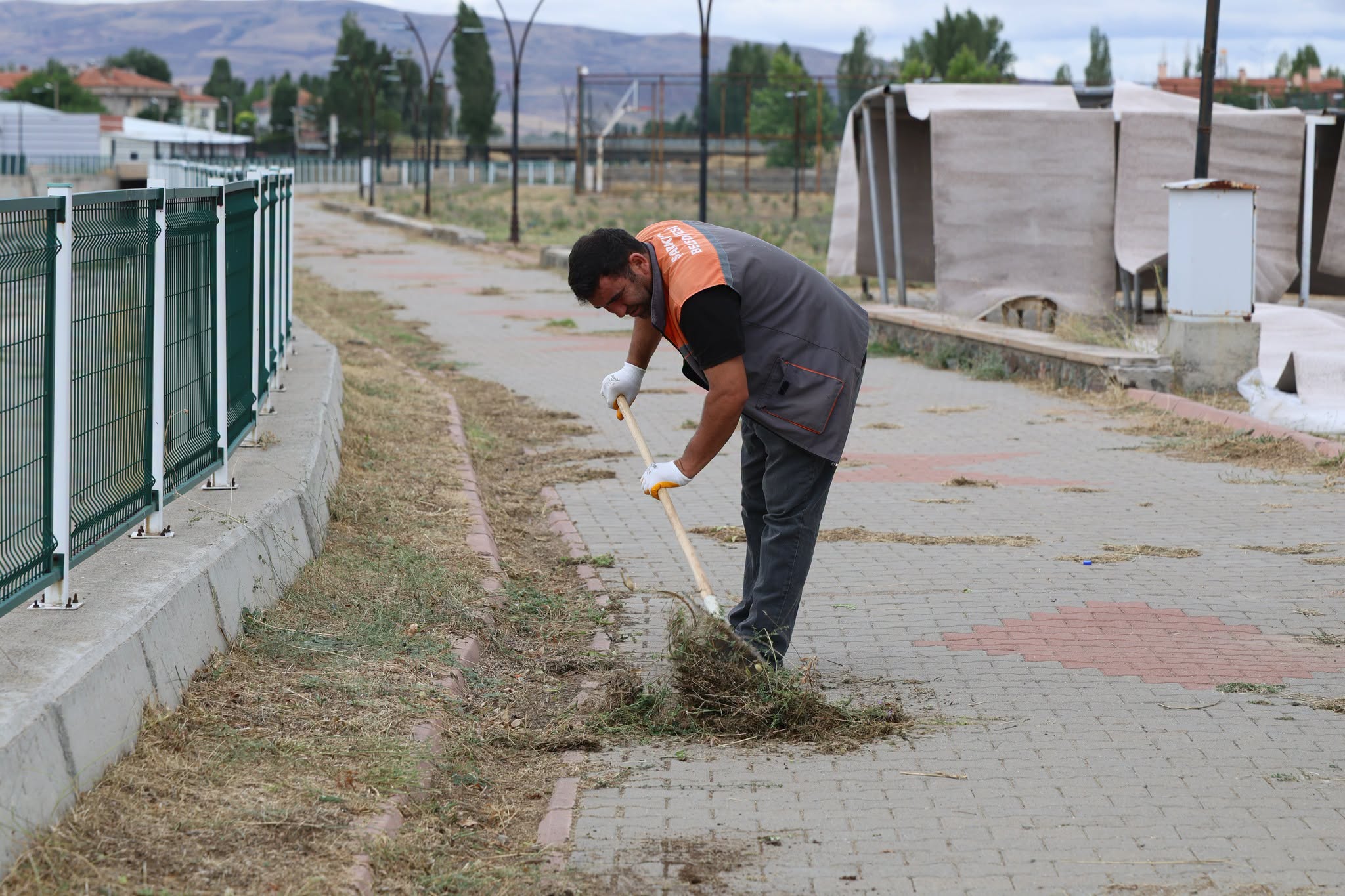 Şarkışla’da lavanta bahçesine bakım