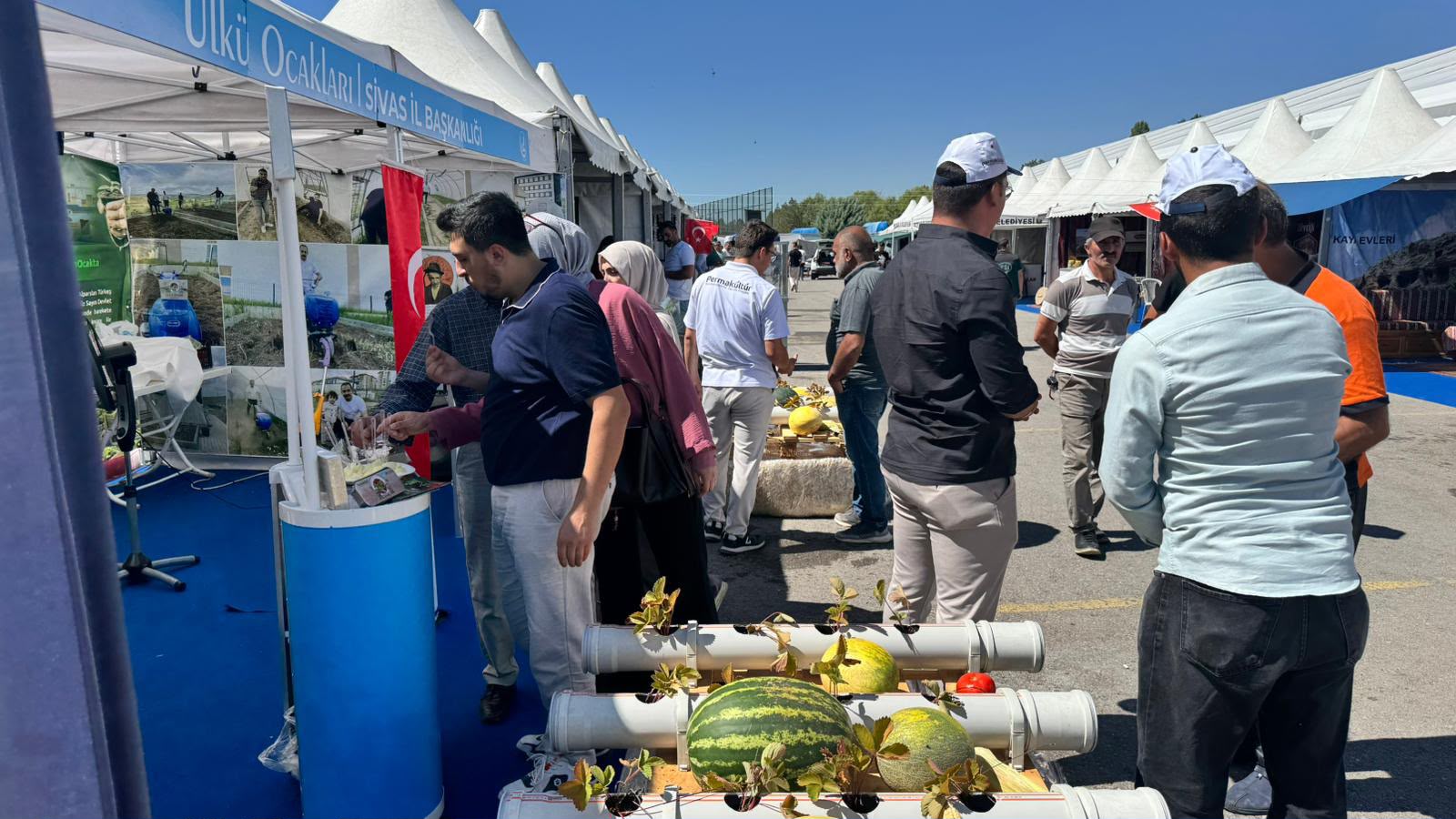 Ülkü Ocakları’nın tarım projesi Sivas fuarında