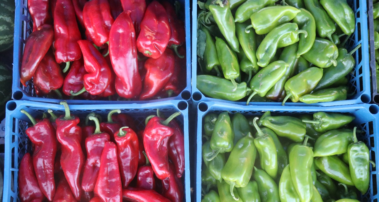Hal ve market fiyatlarını unutun! Geyve’deki o pazar alanı kapalı gişe çalışıyor!