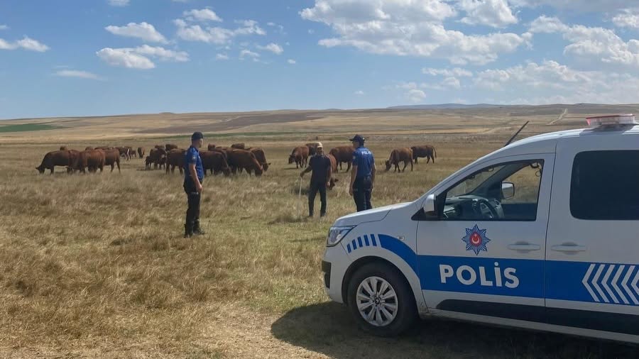 Sivas’ta anız yakanlara dönüm başına ceza uygulanacak