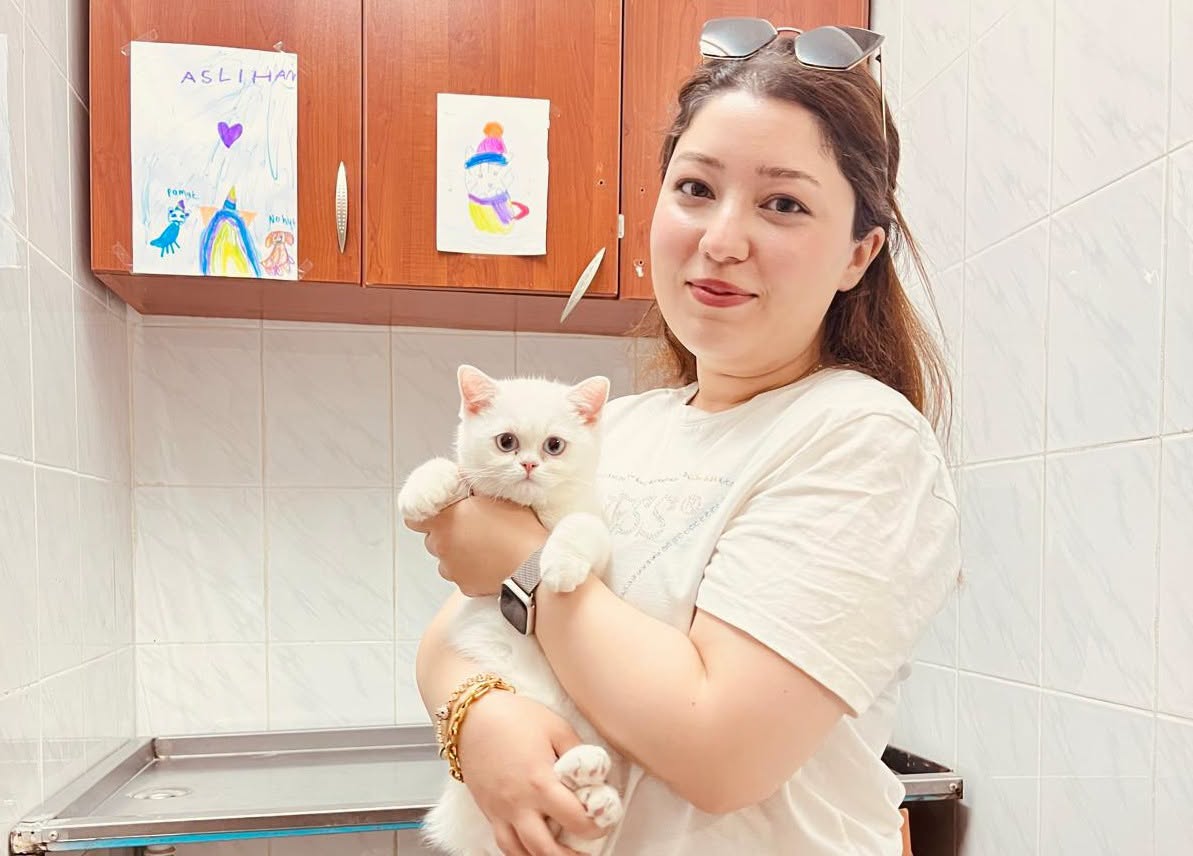 Sivas'ta sahipli kedi ve köpeklerin dijital kimliklendirme işlemleri sürüyor