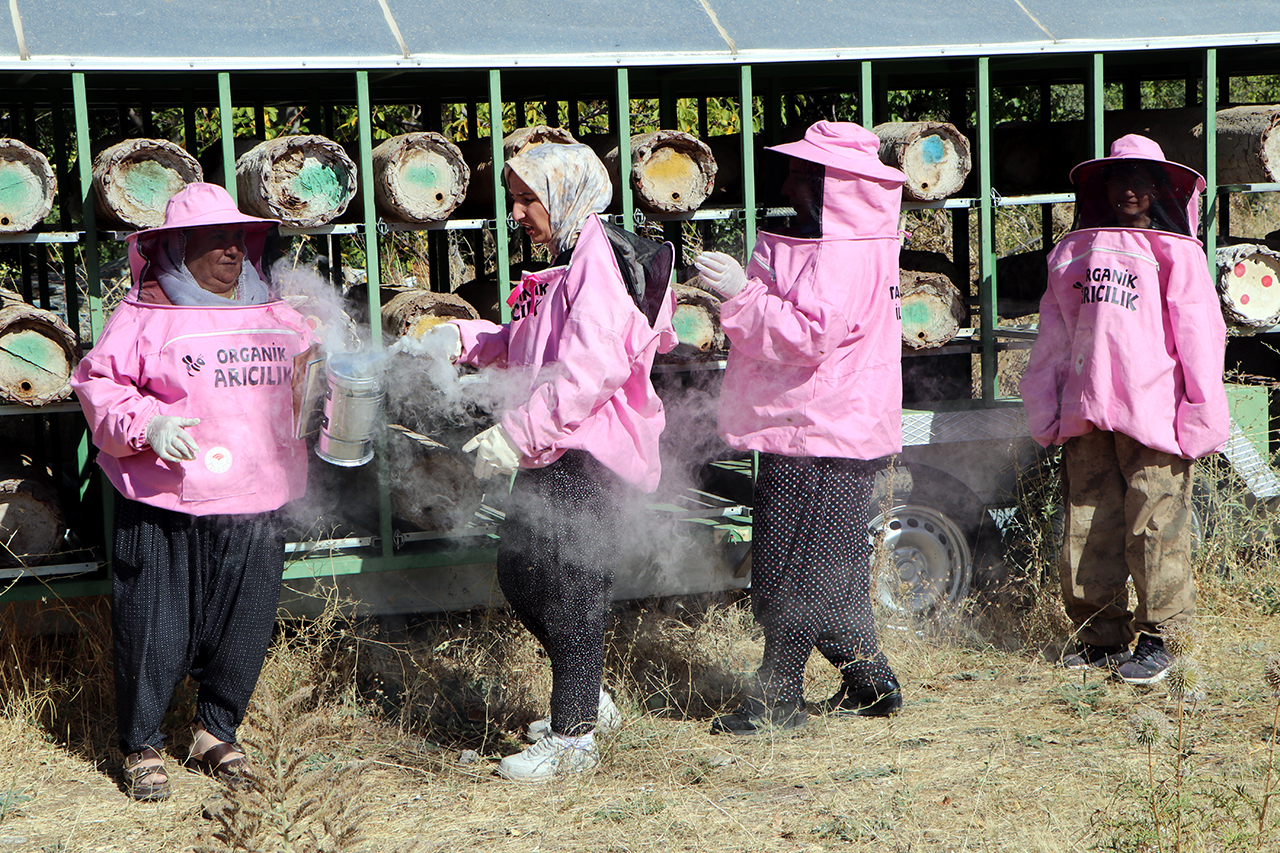 'Pembe maskeli’ kadın arıcılar hasada başladı