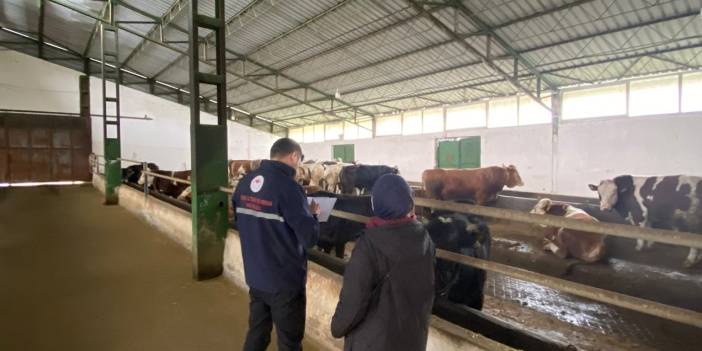 Bu çalışma hayvancılığı değiştirecek! Sivas’ta ekipler sahaya indi