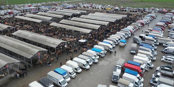Sivas’ta kurban pazarı canlandı! Gözler fiyatlarda