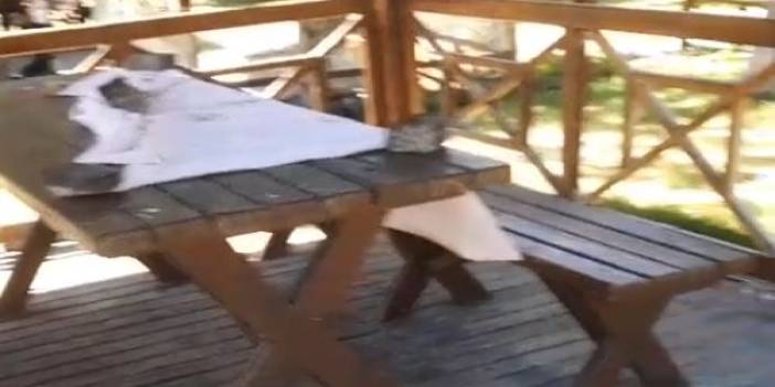 Paşabahçe'de masa tepkisi!