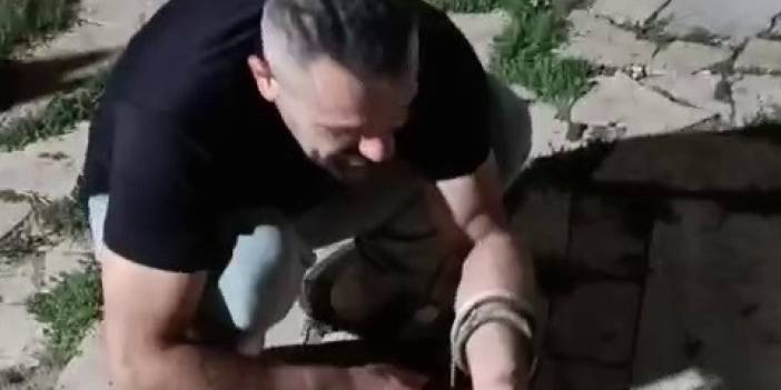 Bahçesinde sürünen yılanı fark etti, korkusuzca eline alıp sevdi