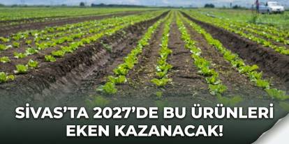 Sivas'ta 2027'de bu ürünleri eken kazanacak!