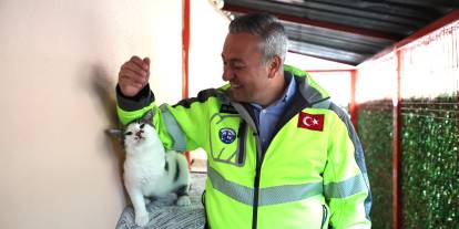 Sivas Belediyesi sokak hayvanları merkezini baştan aşağı yeniledi
