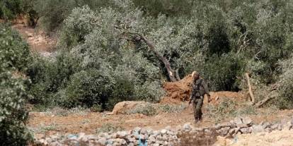Zeytin hasadı yapan 4 çiftçiyi yaraladılar