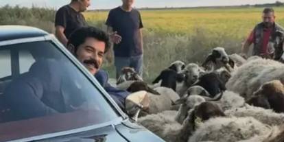 Burak Özçivit Koyunlarla Poz Verdi!