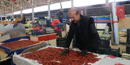 Dikenli dallar arasında zorlu kuşburnu mesaisi