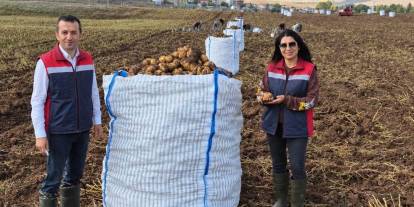Sivas'ta patates üreticilerine müjde! Kaliteli tohum için ekipler sahaya indi!