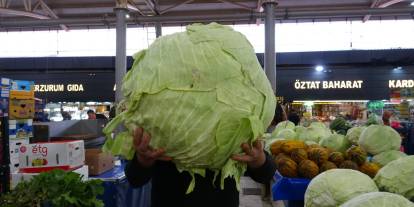 Ağırlığı 33 kiloyu buluyor! Sivas lahanası tezgâhlardaki yerini aldı...