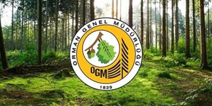 Orman Genel Müdürlüğü 12 müfettiş yardımcısı istihdam edecek