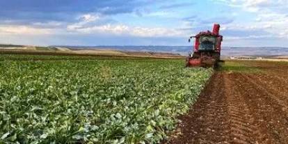 Tarımda 2027 üretim yılı biyolojik ve biyoteknik mücadele destekleri belirlendi