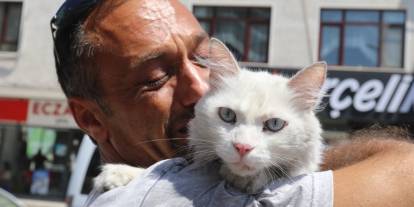 Günlerdir aradığı kedisine kavuştu!