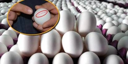 Yumurtaların üzerinde son kullanma tarihi yazmayacak!