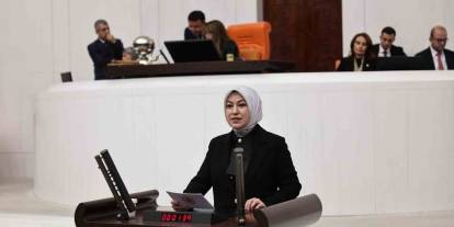 Sivas Vekilinden Orman Yangınlarına İlişkin  Açıklama!