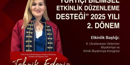 TÜBİTAK  destek verecek