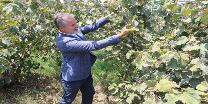 Fındığın kilosu 6 dolar ya da 250 TL üzerinde olmalıdır