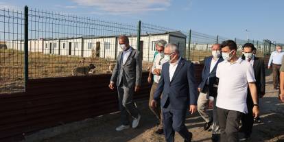 Sivas Valisi Şimşek, Sokak Hayvanlarının Yaşam Alanını Yerinde İnceledi