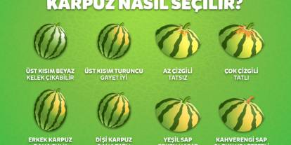Yandex yapay zeka destekli "Karpuz Seçici"yi hizmete sundu