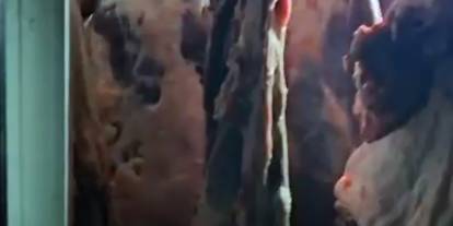 Sivas'ın komşusunda skandal! 1,5 ton eti ahırda sakladılar!